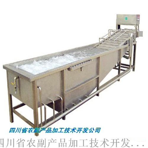 桃干與桃果脯生產一站式解決方案 技術、設備與價格解析